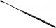 Trunk Shock for Nissan Primera