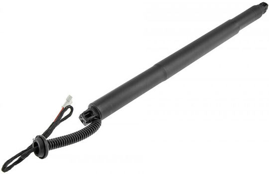 Trunk Shock for BMW X6