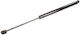 Trunk Shock for Volkswagen Passat
