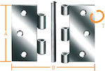 Elements Galvanized Cabinet Hinge