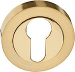 Viobrass Rosette - Door Escutcheon Gold