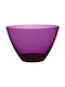Mori 2A Bol de Servire Rotund Plastic Violet cu Diametru 12buc