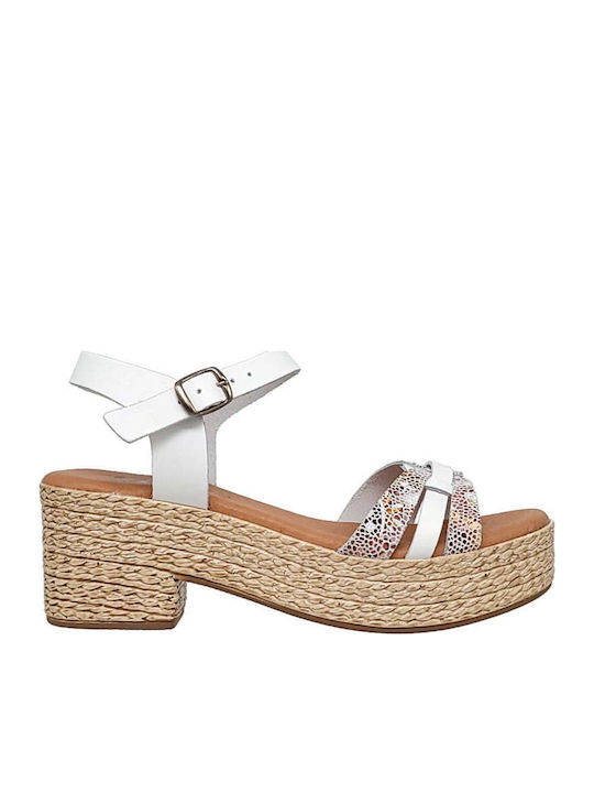 SPK Shoes