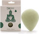 Ancient Wisdom Aloe Vera Σφουγγάρια Konjac Καθαρισμού Προσώπου για Ακνεϊκές Επιδερμίδες