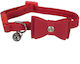 Rosewood Cat Collar Red