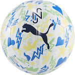 Puma Soccer Ball Multicolour