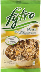 Fytro Muesli Sugar Free 500gr
