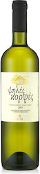 Ψηλές Κορφές Λευκός Οίνος 750ml