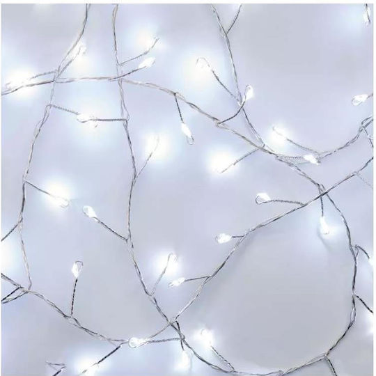 100 Lichter LED 2.4m. Kaltes Weiß Batterie in Zeichenfolge 1Stück