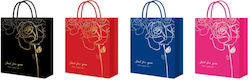 Bag for Gift (Various Colors/Designs)