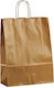 Pincello Gold Paper Gift Bag