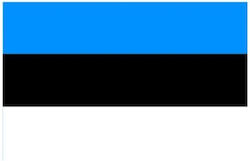 Flag of Estonia 100x70cm