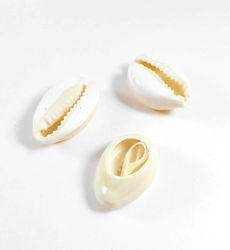 Threaded Motif for Jewelry in Shape Seashell