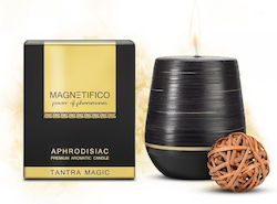 Magnetifico Perfume Candle with Pheromones 70ml