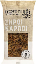Eypori Gi Golden Raisin 250g