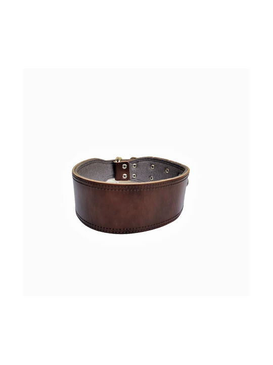 ByLeather Hundehalsband Leder in Schwarz Farbe Klein 70cm