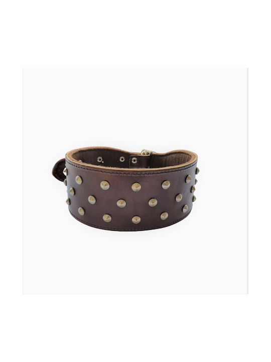 ByLeather Hundehalsband Leder in Braun Farbe Klein 60cm ByLeather Hundehalsband Leder in Braun Farbe Klein 60cm