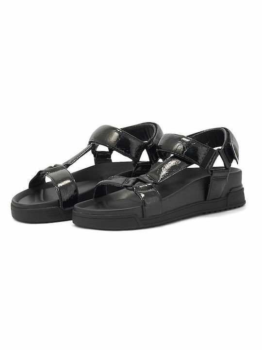 Aldo