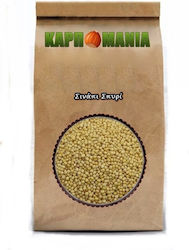 Karpomania Mustard Seed K- 11780 -a 350gr