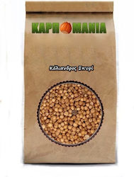 Karpomania Κόλιανδρος 600gr