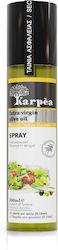 Karpea Exzellentes natives Olivenöl mit Aroma Unverfälscht 200ml 1Stück 1199070