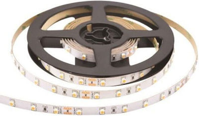 Adeleq Bandă LED Alimentare 24V cu Lumină Roșu Lungime 5m și 60 LED-uri pe Metru SMD2835