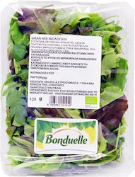 Organic Salad Gran Mix 125gr