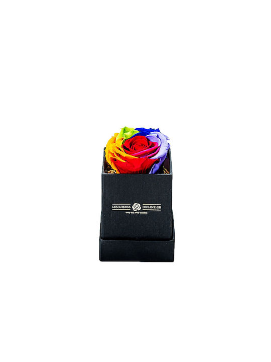 Eternal Rose Forever Multicolour 1pcs