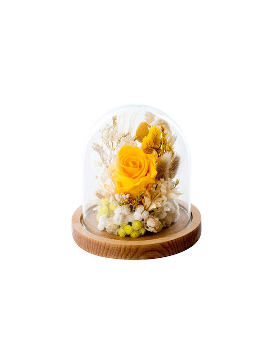 Dried Plant Flowers Yellow 1pcs