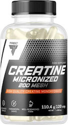 Trec Creatine Micronized Monohydrate 120 κάψουλες Trec Creatine Micronized Monohydrate 120 κάψουλες