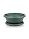 Flower Pot 50x19cm in Green Color