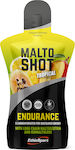 EthicSport Malto Shot Endurance Tropisch 15x50ml