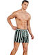 Men's Swimwear Shorts Green Striped
