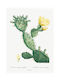 Walls Αφίσα Cactus 15x20cm