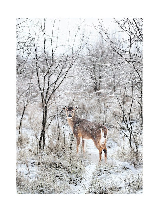 Walls Poster Winter Deer 15x20cm