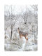 Walls Poster Winter Deer 15x20cm