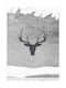 Walls Poster Gray Deer 15x20cm