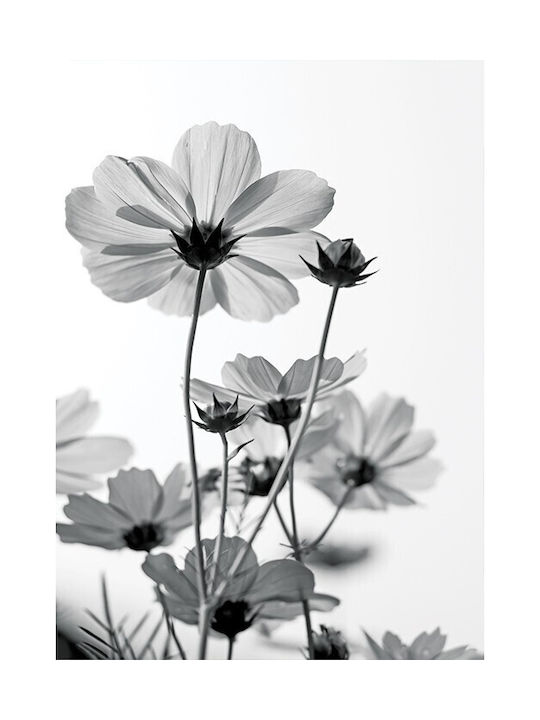 Walls Poster Black and White Flower WALLS 102579 02 09 015 020 15x20cm