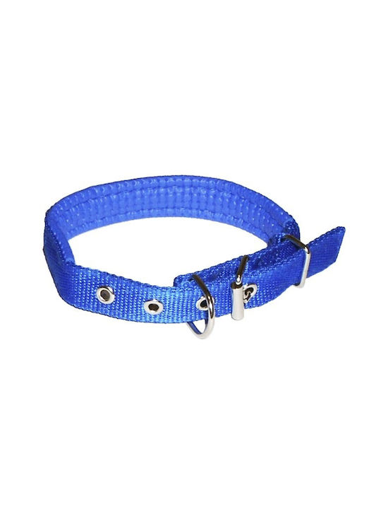 Dog Collar 48cm Blue