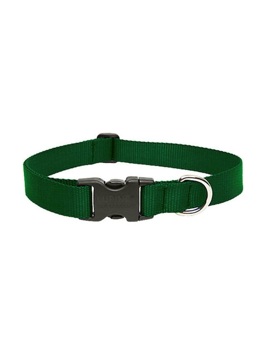 Record Dog Collar Green