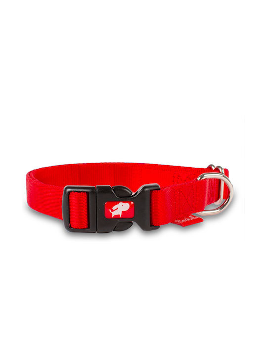 Ferribiella Hundehalsband in Rot Farbe Mittel