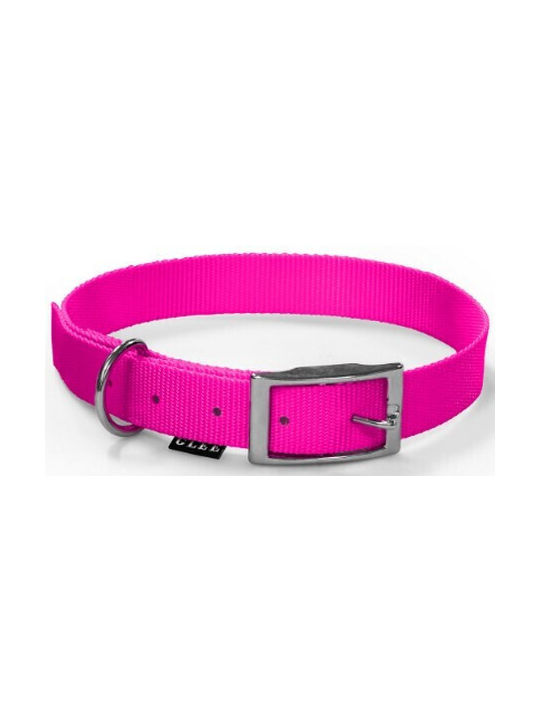 Glee Dog Collar in Pink color 88616