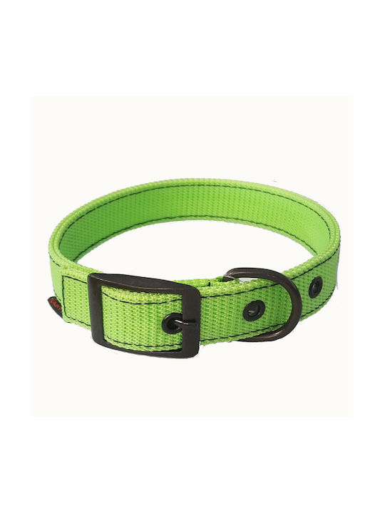 Funky Pet Guler pentru câini în culoarea Verde