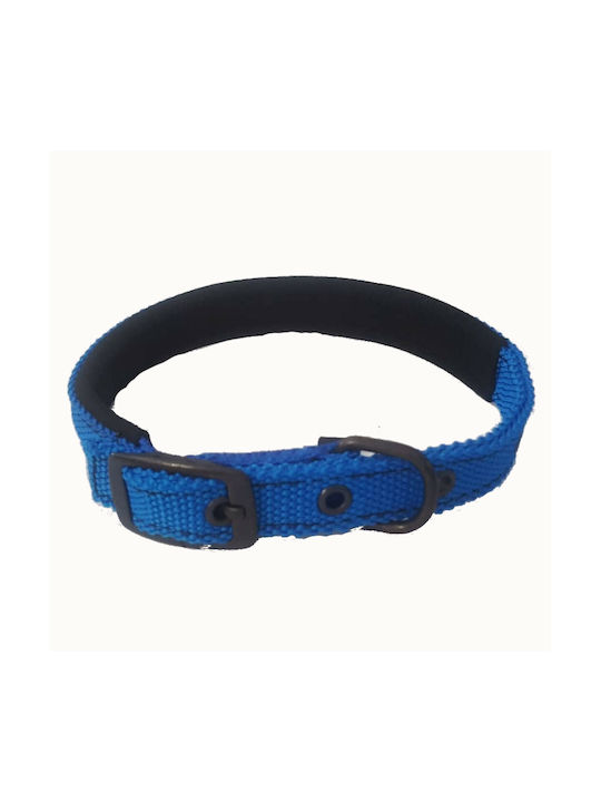 Funky Pet Dog Collar Blue