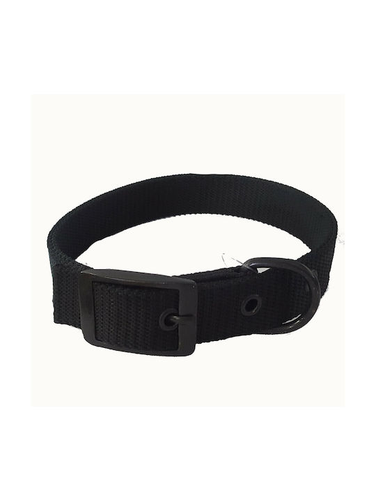 Funky Pet Dog Collar in Black color