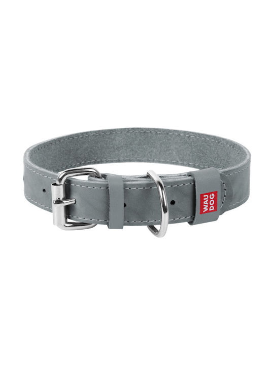 Collar Dog Collar Gray