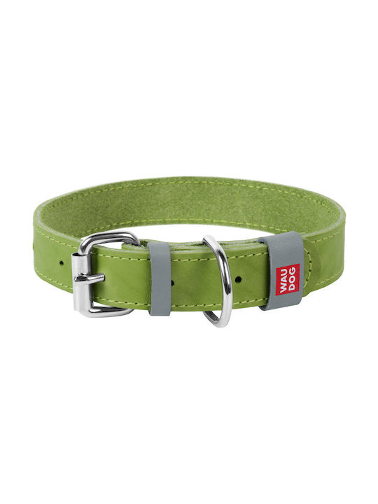 Collar Dog Collar 15mm Green