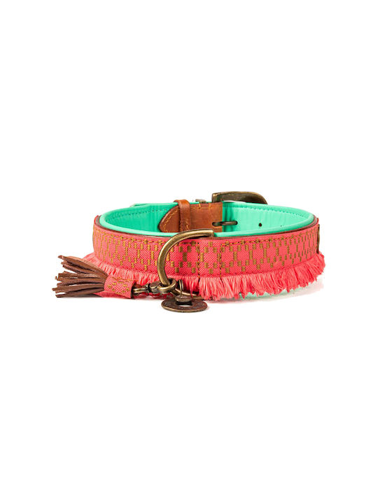 DWAM Dog Collar in Orange color