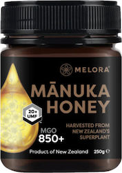 Melora Μέλι Manuka 250gr
