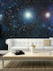 Wall Mural Fabric L300xW231cm